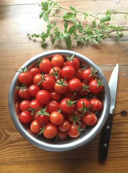 Tomates frescos da horta